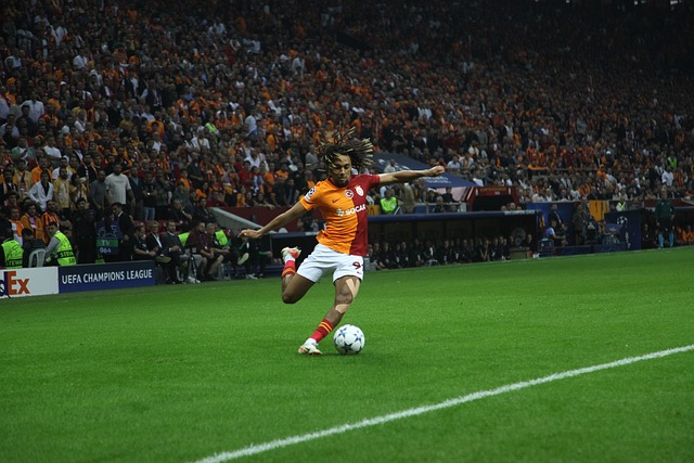 都为全队稳 都为全队稳