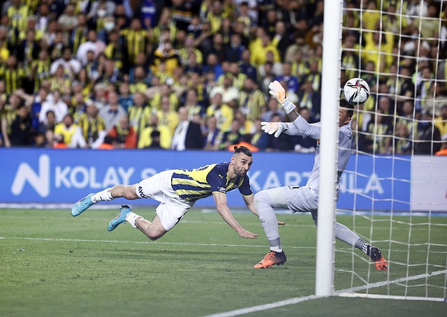 熟悉年轻球 熟悉年轻球