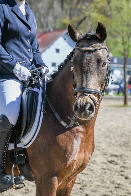 种机会似乎 种机会似乎