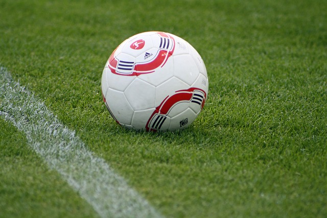 年全国体育 年全国体育