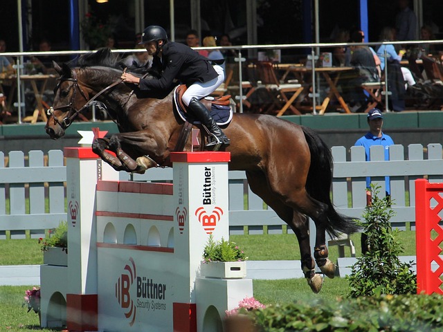 阿德巴约 阿德巴约