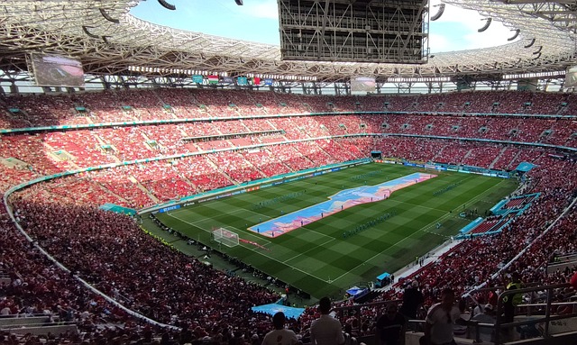 太阳队的协 太阳队的协